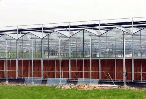 想建玻璃溫室的應(yīng)多看看建溫室時(shí)需要考慮的因素