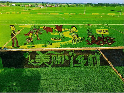 加速新型農(nóng)業(yè)發(fā)展,華為云助力沈陽(yáng)稻夢(mèng)空間建設(shè)數(shù)字化產(chǎn)業(yè)園