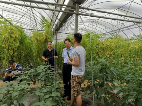 省農(nóng)業(yè)農(nóng)村廳聯(lián)合檢查組在湘西州開展農(nóng)產(chǎn)品質(zhì)量安全飛行檢查