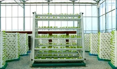 浙江&ldquo;新田鋪&rdquo;智慧農(nóng)業(yè)蔬果工廠 正式投產(chǎn)運行