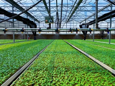 【就業(yè)創(chuàng)業(yè)】赤峰市創(chuàng)業(yè)大賽優(yōu)秀項目展示:&ldquo;育&rdquo;出振興路 &ldquo;苗&rdquo;繪新藍圖--標準化育苗工廠項目