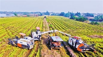 新農(nóng)民與新業(yè)態(tài) 農(nóng)村與農(nóng)業(yè)的新圖景 新型職業(yè)農(nóng)民與 新農(nóng)民 將打造農(nóng)業(yè)新業(yè)態(tài)