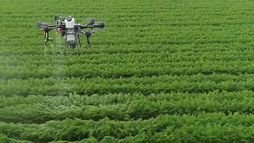 青島這場會議吹響了農業(yè)農村工作新局面的號角