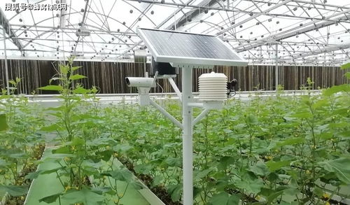 智慧農業(yè)物聯(lián)網傳感器