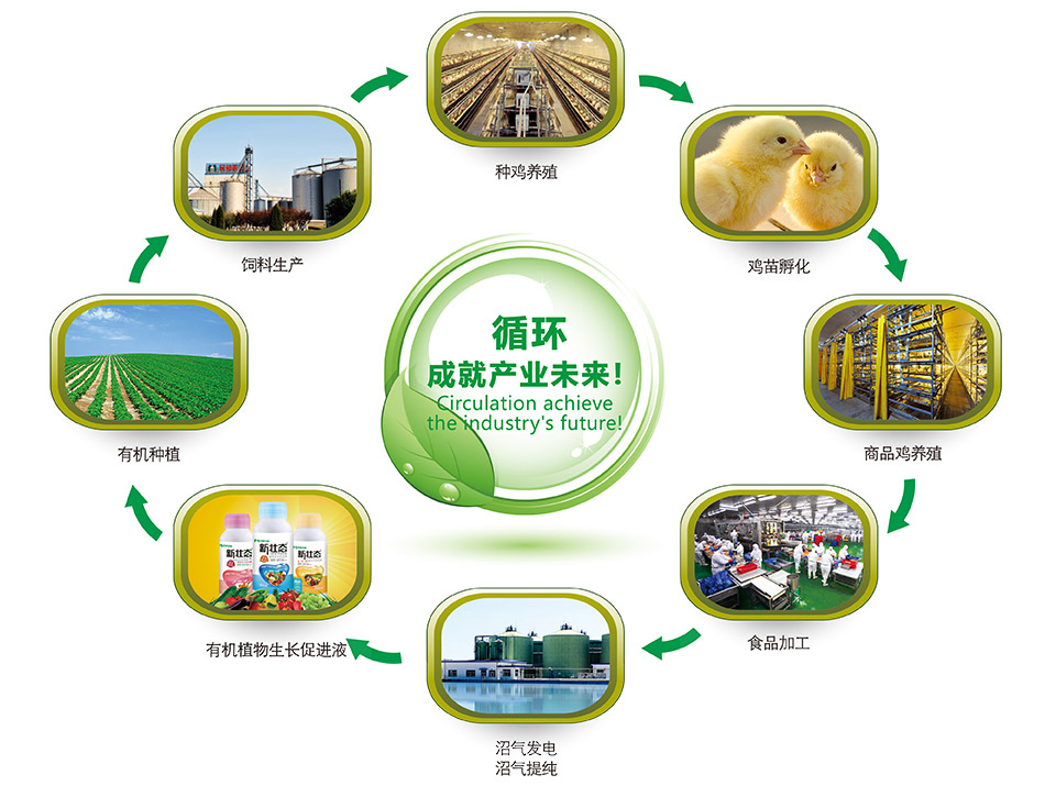 關于民和 - 山東民和生物科技