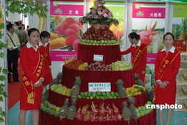 累計1480余噸 統(tǒng)計顯示深圳成最大臺果進口口岸圖