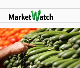 美國農產品公司在22個州召回感染沙門氏菌黃瓜