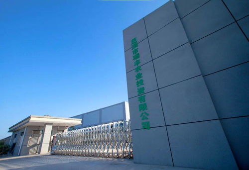 省級(jí)金獎(jiǎng) 開發(fā)區(qū)這家公司的精品鮮菇真不錯(cuò)