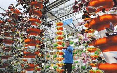 農(nóng)業(yè)夢工廠種養(yǎng)更環(huán)保