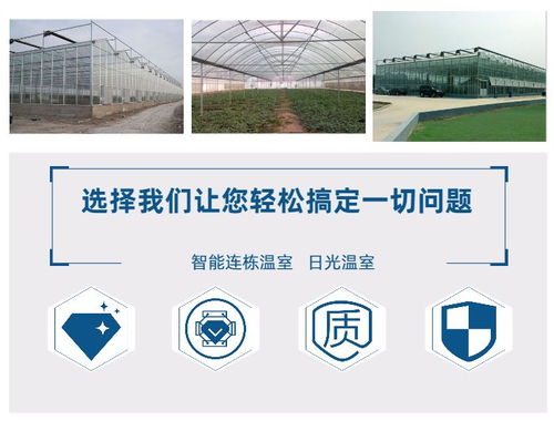 生態餐廳無土栽培廠家 鑫華生態農業 在線咨詢 邯鄲生態餐廳高清圖片 高清大圖