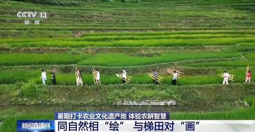 打卡農(nóng)業(yè)文化遺產(chǎn)地 他們把研學(xué)活動(dòng)選在山水林田間