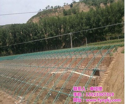 安陽豐源農(nóng)業(yè)與廣安鋼結(jié)構(gòu)大棚建設(shè) 現(xiàn)代農(nóng)業(yè)的堅(jiān)實(shí)支柱