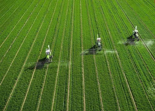 百果園發(fā)力果蔬加工 以全程托管服務(wù)增值農(nóng)業(yè)，賦能生態(tài)農(nóng)業(yè)新生態(tài)