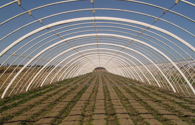 安陽(yáng)市佳和農(nóng)業(yè) 專(zhuān)業(yè)品質(zhì)，護(hù)航現(xiàn)代農(nóng)業(yè)——大棚配件廠家的卓越實(shí)踐