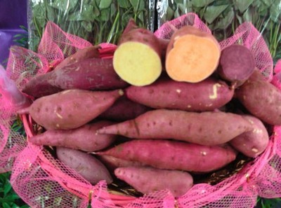 安吉綠耕生態(tài)農(nóng)業(yè)發(fā)展 從“大番薯”看薯類(lèi)作物的生態(tài)價(jià)值與產(chǎn)業(yè)未來(lái)